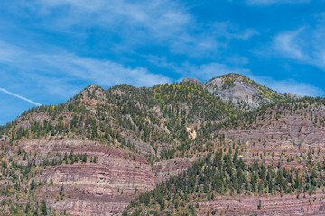 Fototapeta na wymiar Low angle landscape of aspen trees dotting a stone mountain near Ouray, Colorado
