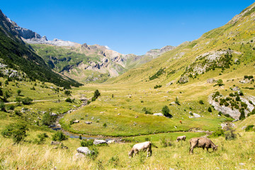 Fototapeta premium Ordesa