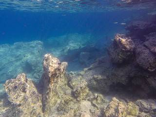 UNDERWATER sea level photo of the Aponissos beach, Agistri island, Saronic Gulf, Attica, Greece.