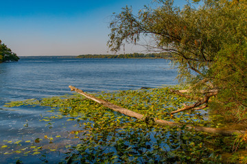 Dnieper floods on the Dnieper River