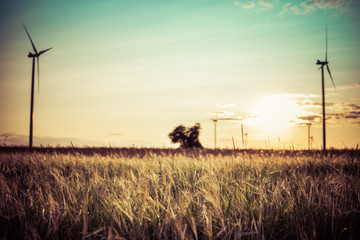 wind turbines during sunset