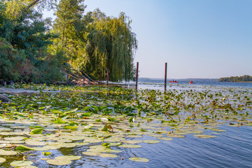 Dnieper floods on the Dnieper River