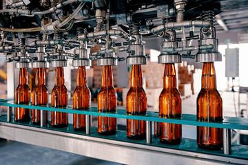 Beer bottles filling on the conveyor belt in the brewery factory - Powered by Adobe