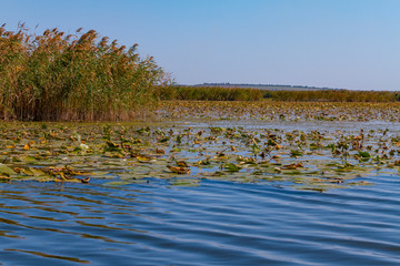 Dnieper floods on the Dnieper River