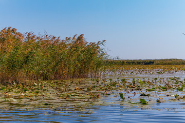Dnieper floods on the Dnieper River
