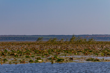 Dnieper floods on the Dnieper River