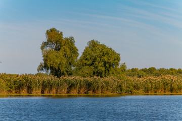Dnieper floods on the Dnieper River