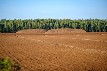 countryside landscape of fields and forests in summer