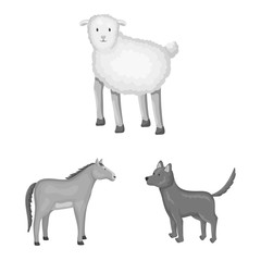 Isolated object of homestead and agriculture symbol. Set of homestead and kitchen stock vector illustration.