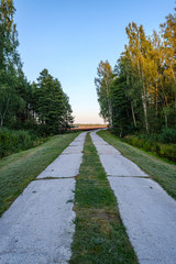 dirty gravel road in green forest with wet trees and sun rays