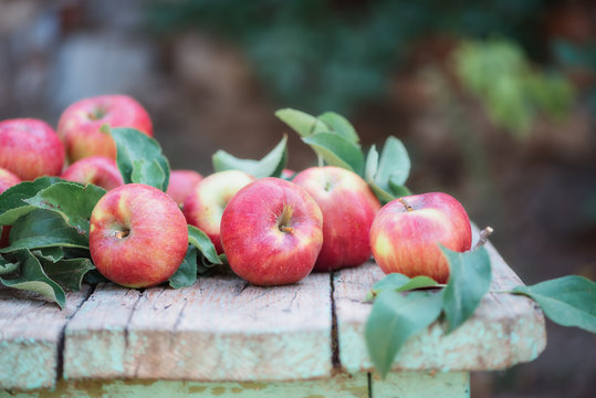 Red apples with leaf on the wood table