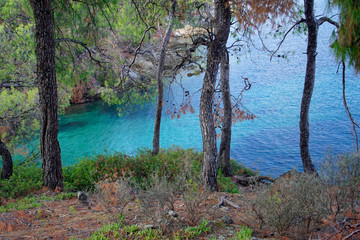 beach, blue, branch, forest, green, hill, lake, landscape, leaves, nature, outdoors, park, pine, plant, river, rock, sea, sky, spring, summer, tree, trees, view, water, wood