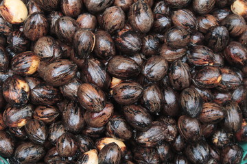 Nueces