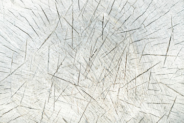 Wood grain texture with cracks from axe. Light background for flat lay.  Rugged tree