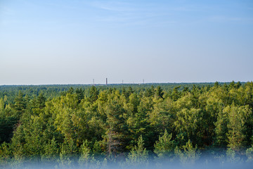 Obraz premium countryside landscape of fields and forests in summer
