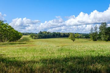 Fototapeta premium countryside landscape of fields and forests in summer