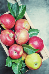 Top view of seven red apple with leaves in wooden box closeup