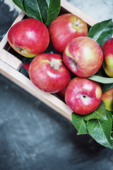 Red apple with leaves in wooden box closeup