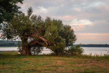 Wielimie Lake, near Szczecinek (Poland).