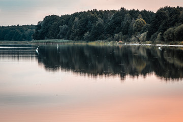 Wielimie Lake, near Szczecinek (Poland).