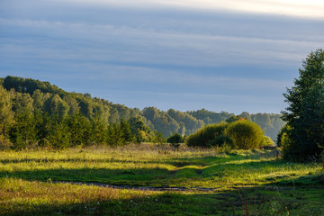 Fototapeta premium countryside landscape of fields and forests in summer