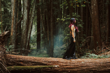 Asian tattooed woman in black evening dress poses on a fallen redwood tree in the forest