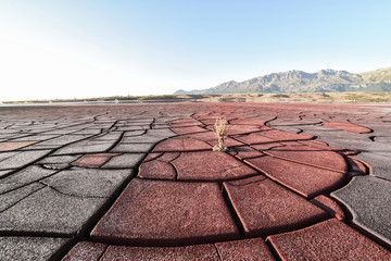 the disruption of the geographical structure of the world, the change of climates and the biggest problem is the withdrawal of water