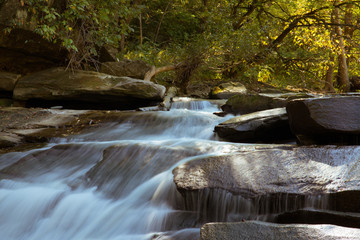 mountain river in the forest