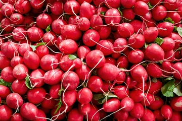 Fotobehang Heap of small red radish © Cagkan