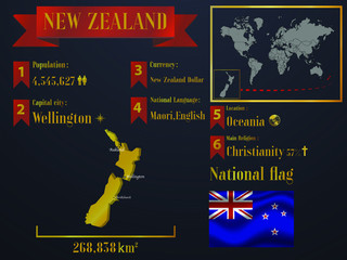 Obraz na płótnie Canvas New Zealand statistic data visualization, travel, tourism destination infographic, information. Graphic vector illustration. National flag, europe country silhouette, world map icon business element