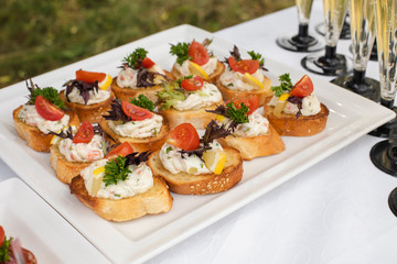 Close-up of wedding reception with tasty sandwiches and canapes made of sausage, parsley and tomatoes with cream cheese. Canapes on white ceramic plates at wedding reception.