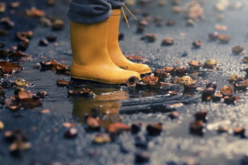 closeup on yellow rubber boots of a child in a puddle after a rain on a stormy autumn day -...