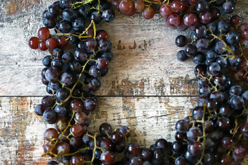 Selective focus. Fresh ripe grape. Blue and pink grapes. Autumn grape harvest.