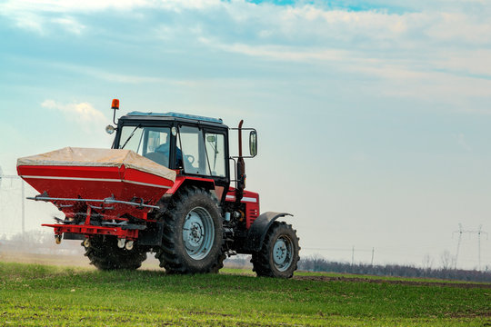 Fototapeta Agricultural tractor fertilizing wheat crop field with NPK