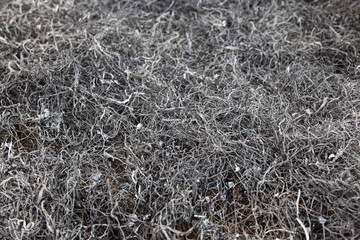 Fototapeta na wymiar Burnt grass