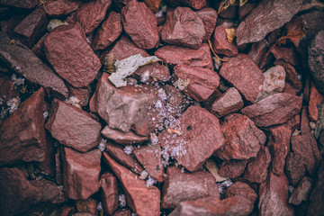 Beautiful Fall leaves with water drops after rain. Amazing Autumn colors. Blurred macro Fall foliage. Spider web closeup with rain drops on colorful Autumn leaves.