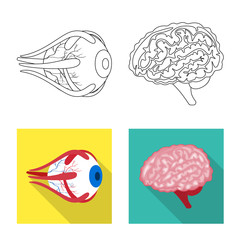 Vector illustration of biology and scientific symbol. Set of biology and laboratory stock vector illustration.