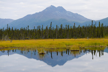 Schöne Landschaft mit Spegelung, in welcher Autofahren Spass macht, an der McCathy Road in Alaska