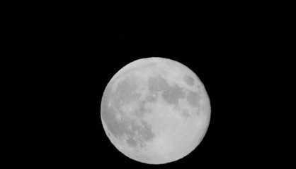 Mond