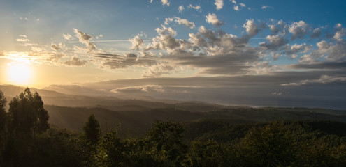 View of the forest and coast