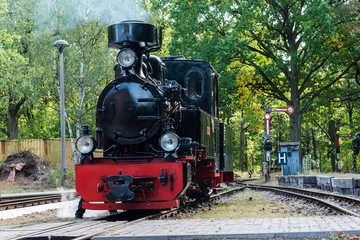 Fototapeta na wymiar A small steam locomotive, Small beautiful steam locomotive