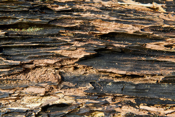 Wooden background