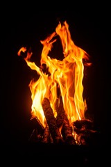 Fototapeta na wymiar Bonfire. Bright flames. Fire close-up. Burning bonfire on the street. Fire on a black background.