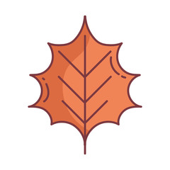leaf hello autumn design icon