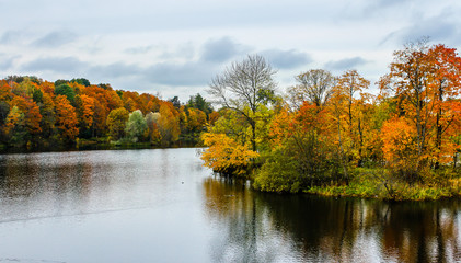Golden colours of autumn park. Landscape with river and trees.