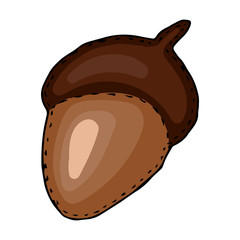 acorn doodle color toy