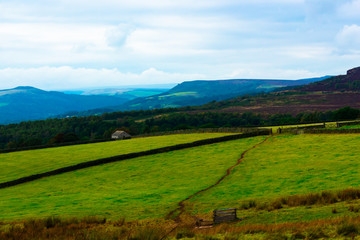 Paths, Grass, Trees and Hills