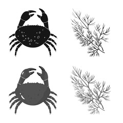 Isolated object of taste and product icon. Collection of taste and cooking stock symbol for web.