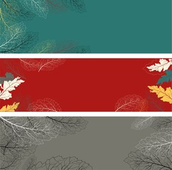 Autumn leaves. Set leaf. Vector tree collection. Vector banner. Modern poster with colorful autumn leaves on light background for web backdrop design