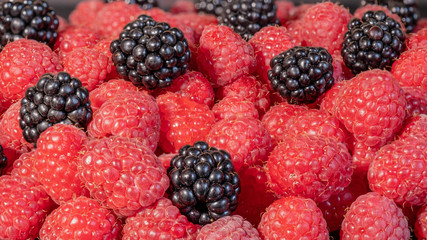 Ripe and fresh berries, blackberry over red raspberries, sweet healthy food